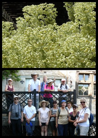 Rando ce nevie res 23 avril 20179