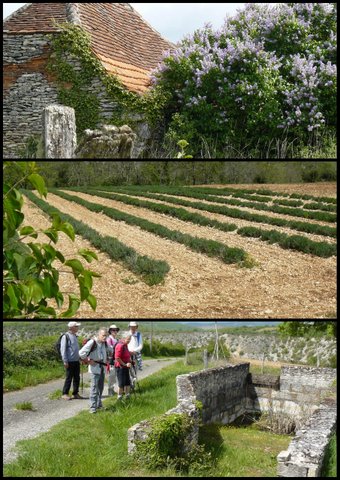 Rando rocamadour 16 avril 2017 3 13
