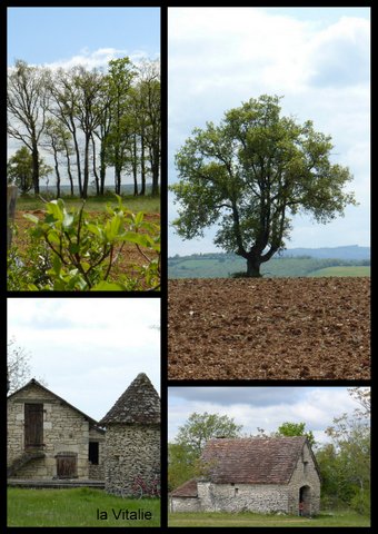 Rando rocamadour 16 avril 2017 3 15