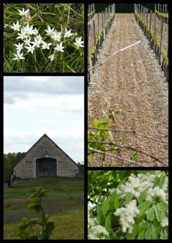 Rando rocamadour 16 avril 2017 3 19