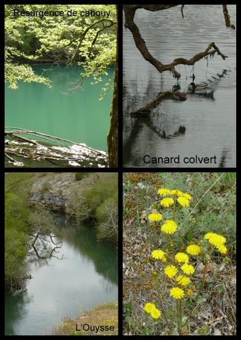 Rando rocamadour 16 avril 2017 3 2