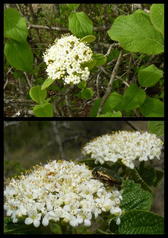 Rando rocamadour 16 avril 2017 3 8