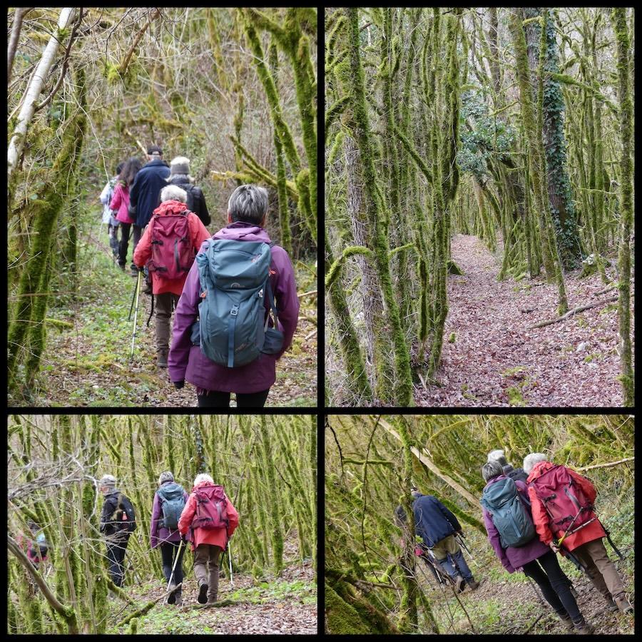 Sabadel lauzes 18 janv 20269