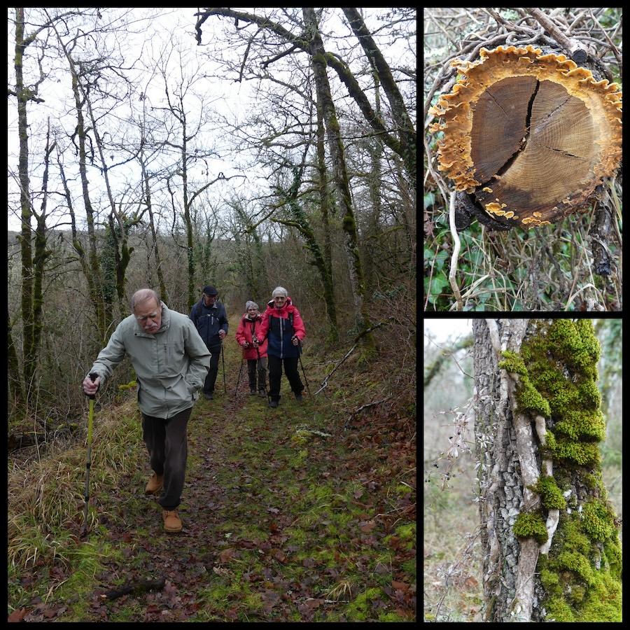 Vaillac 25 janvier 202615