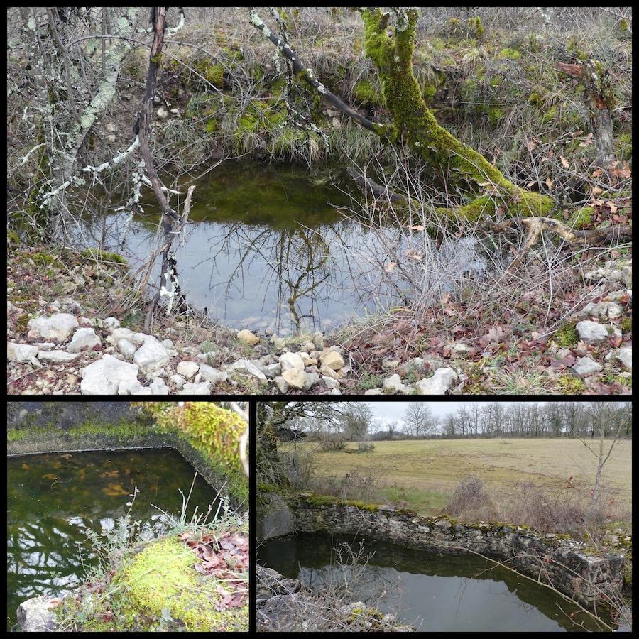 Vaillac 25 janvier 202616