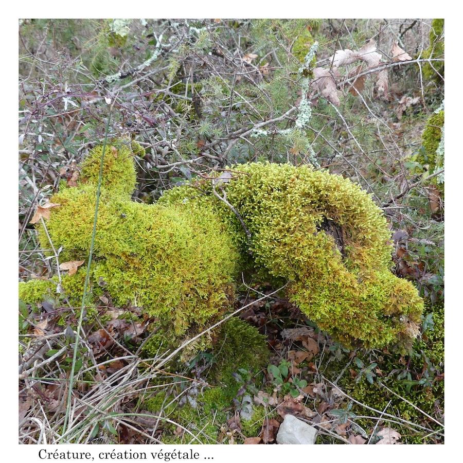 Vaillac 25 janvier 202617