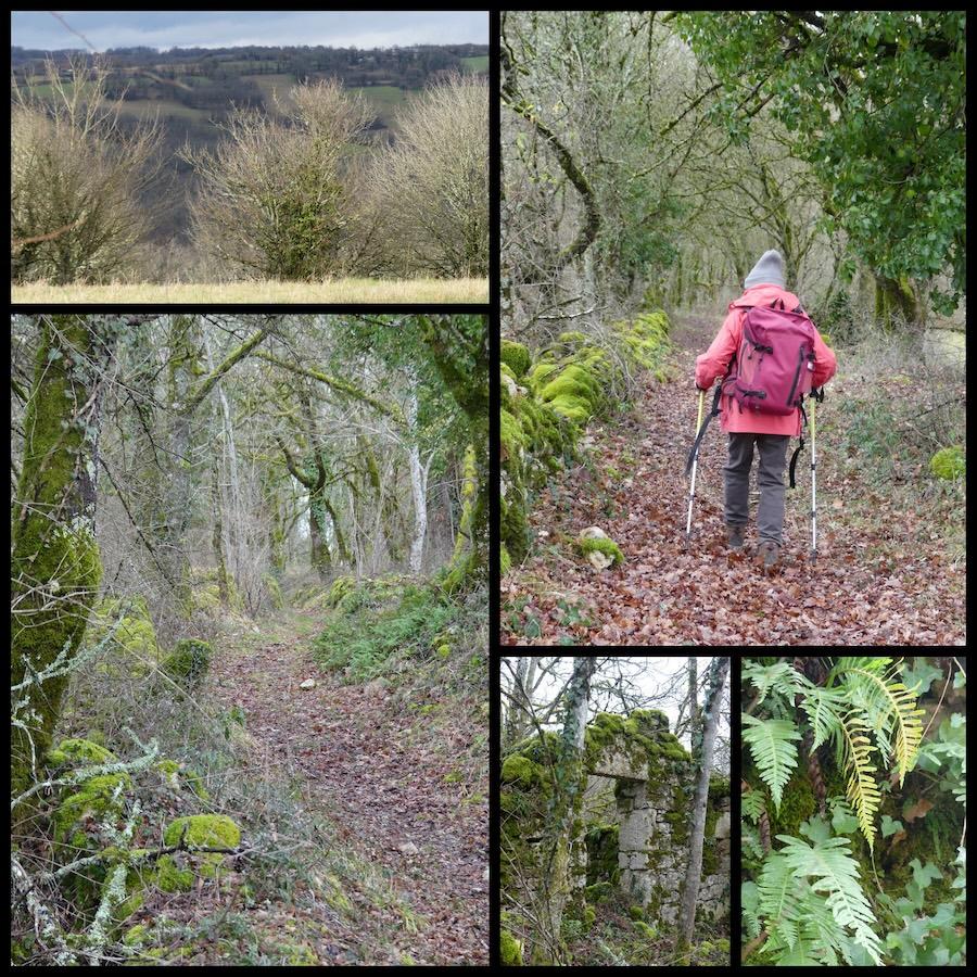 Vaillac 25 janvier 20267